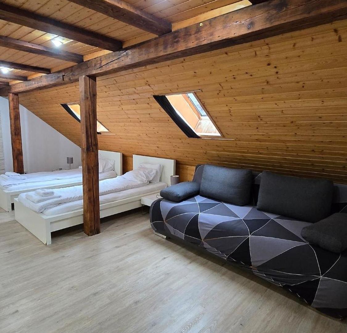 Cozy With Roof Terrace For 3 Apartment Zurich