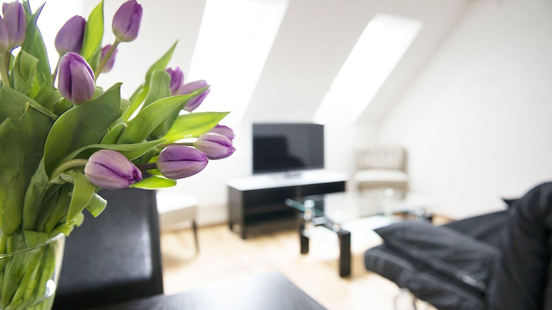 Apartment Swiss Star Longstreet - Self Check-in