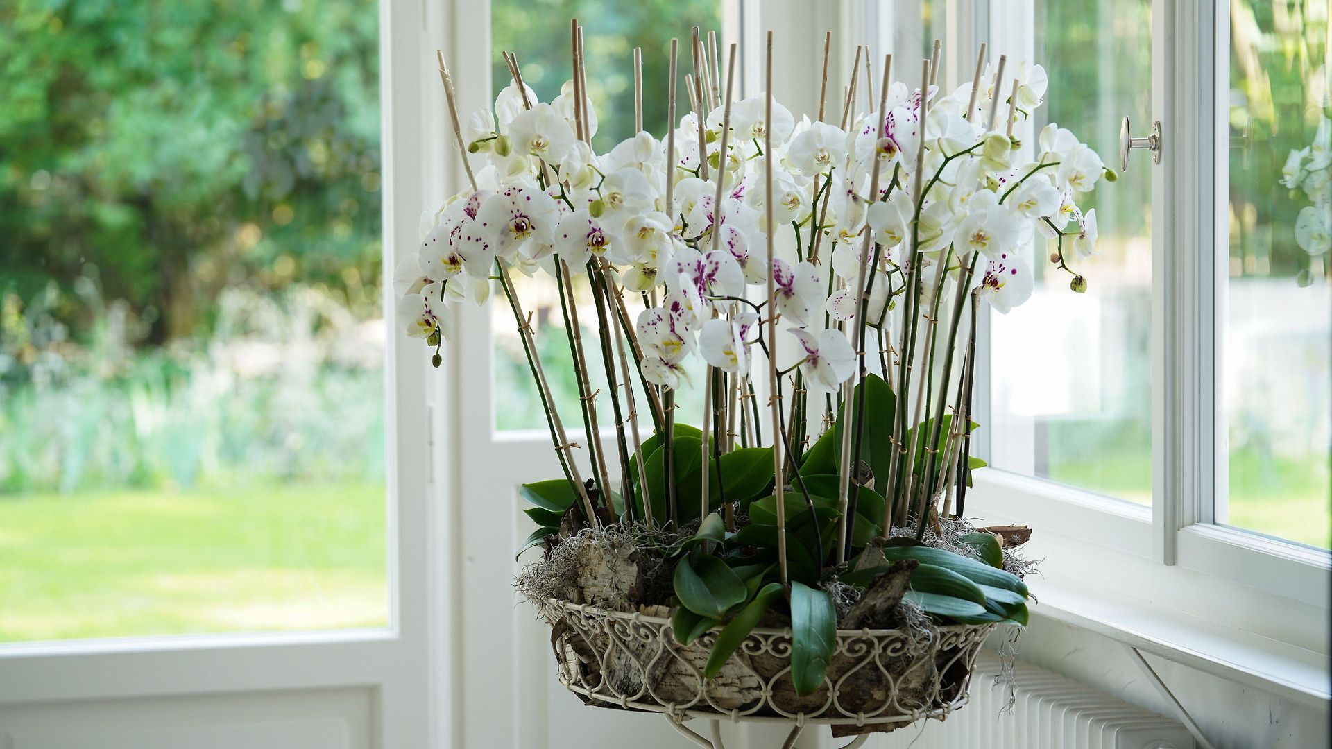 Signau House & Garden Boutique 4* Zurich