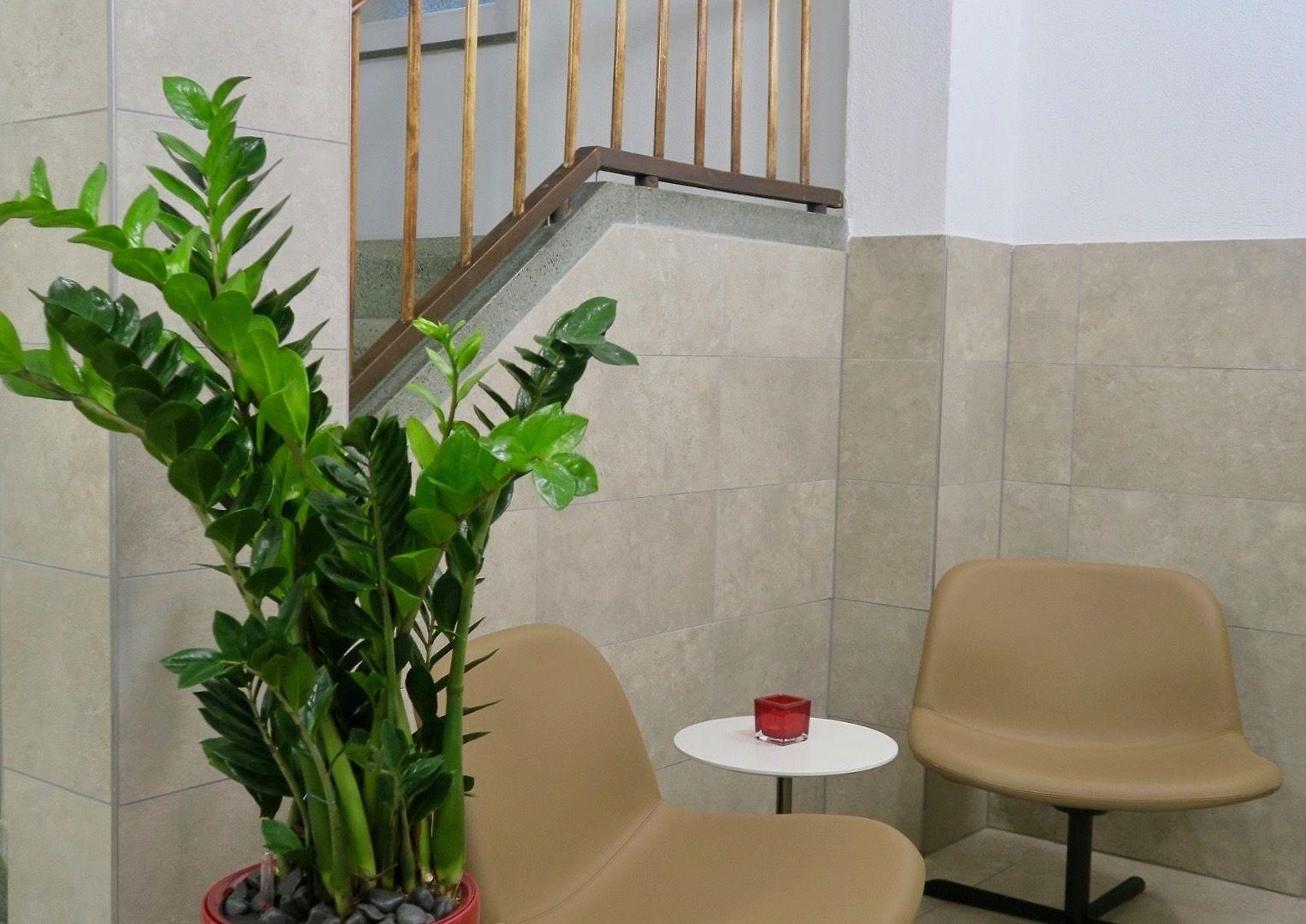 Furnished Homes Apartment Zürich