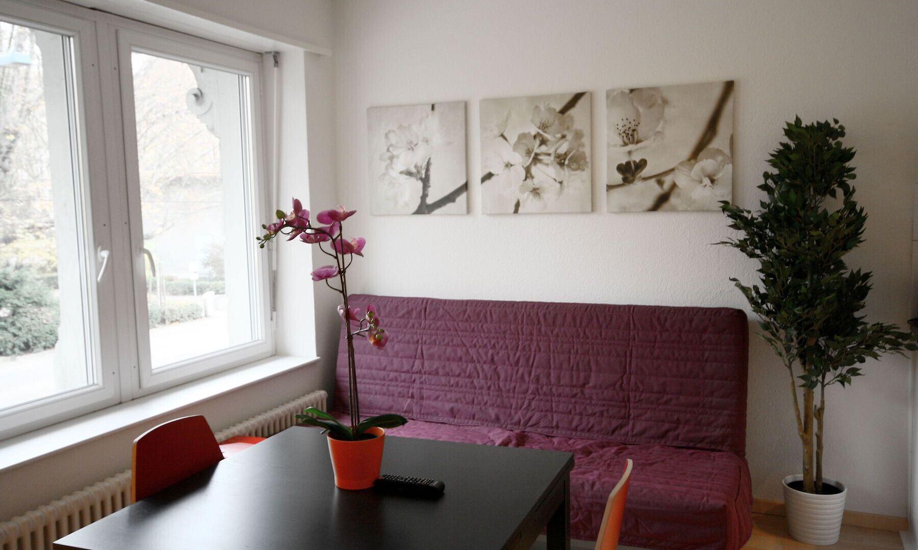 Hitrental Stauffacher Zurich
