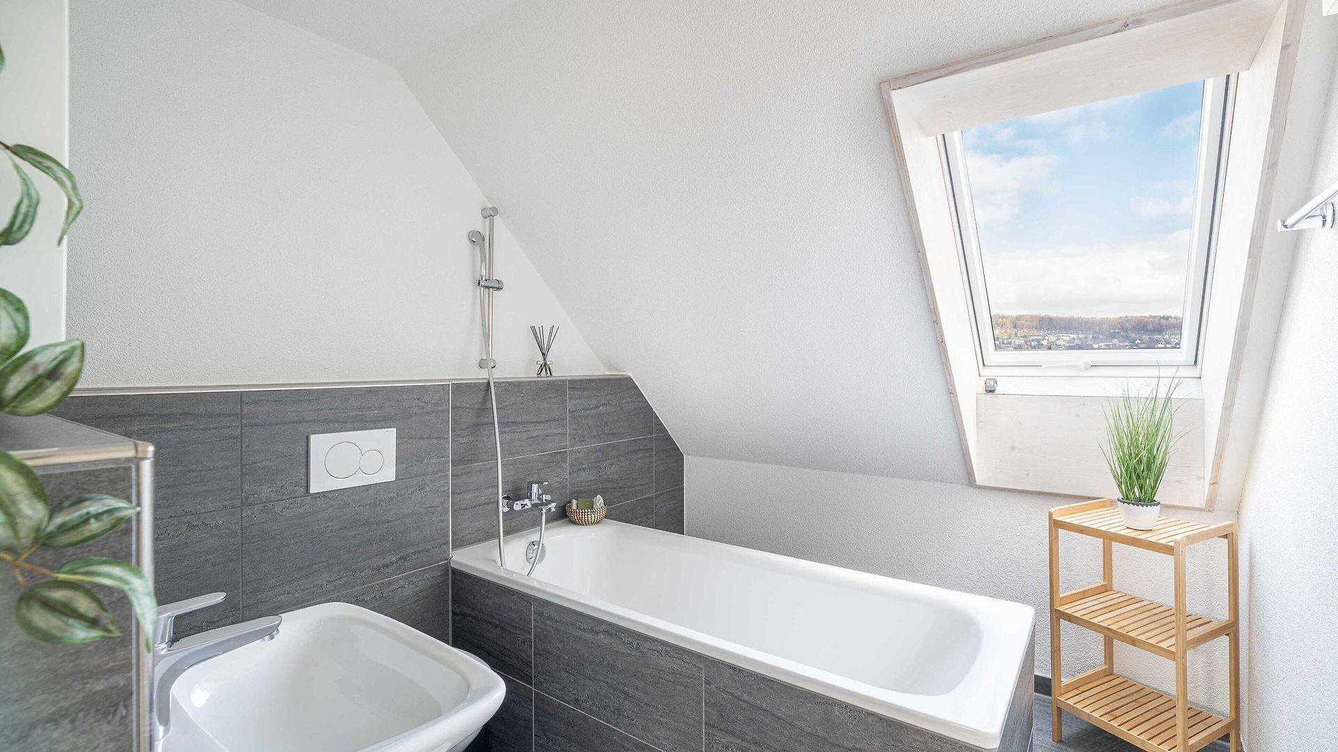 Apartment Modern 3bdr Duplex With Skyroof In Trendy West Zurich