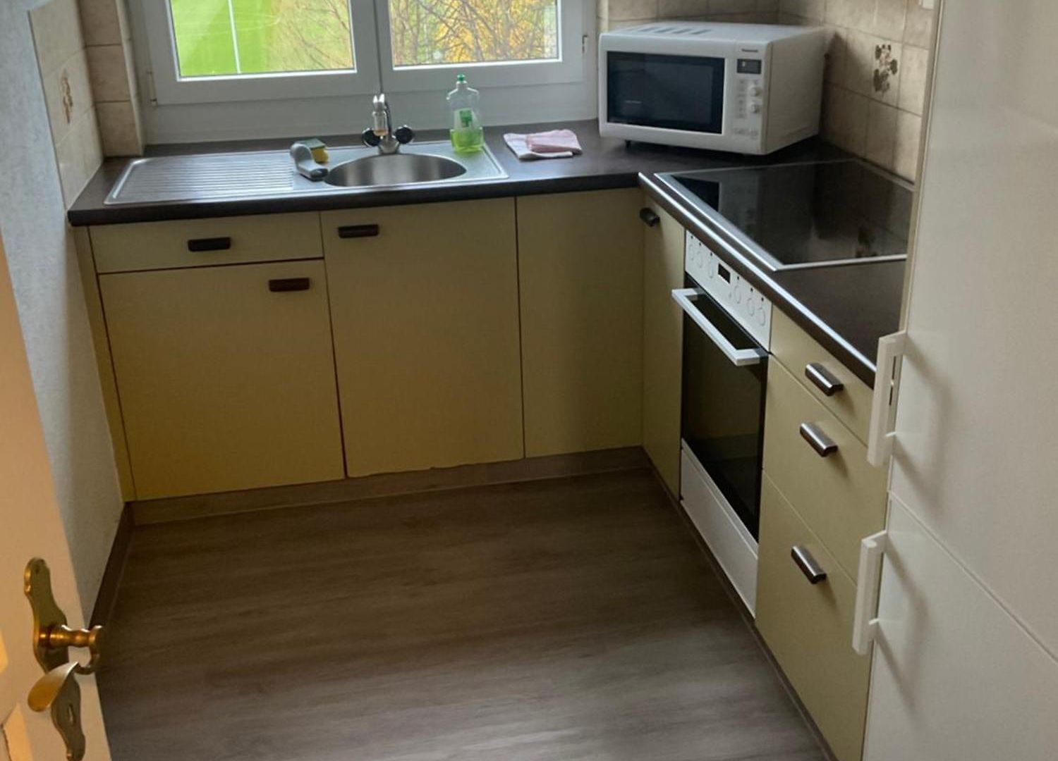 Ferienwohnung Zuerich Zurich