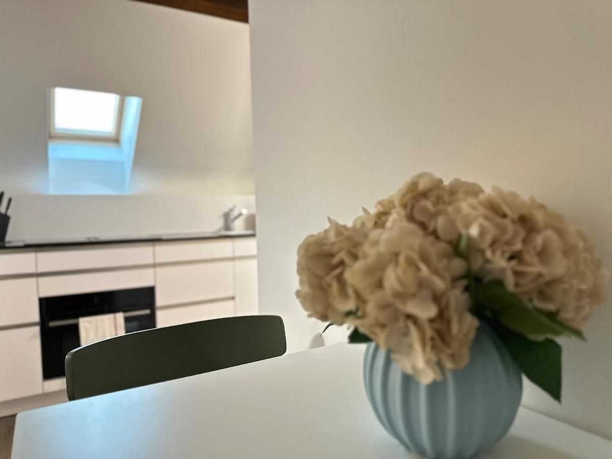 Bird - Wipkingen Apartment