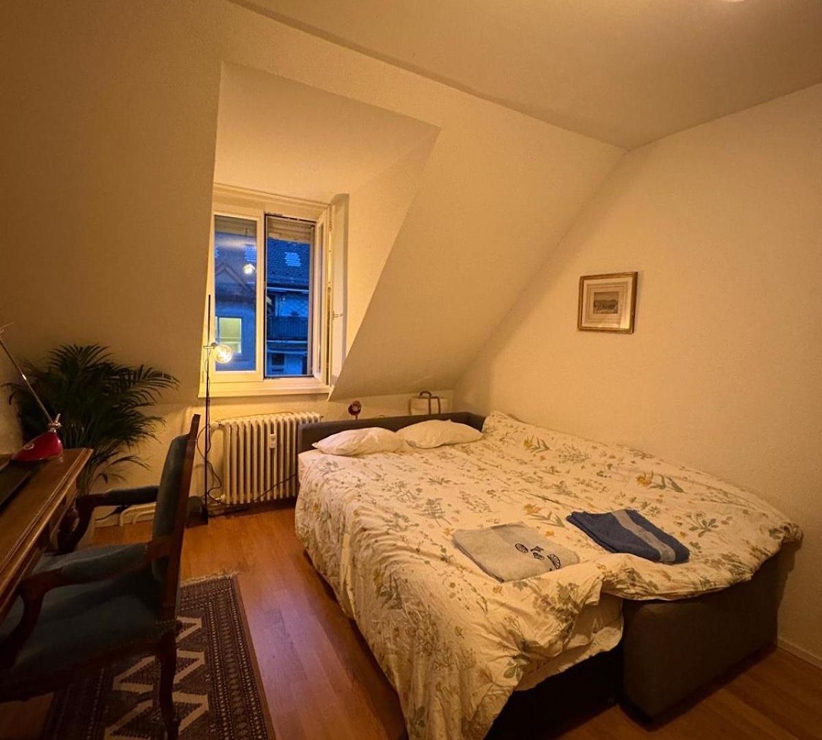 Cosy In Attic Flat In The Center Of Privatunterkunft