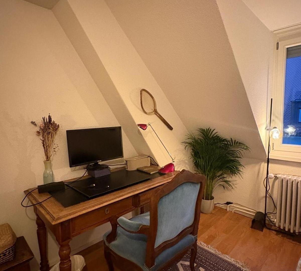 Cosy In Attic Flat In The Center Of * Zürich