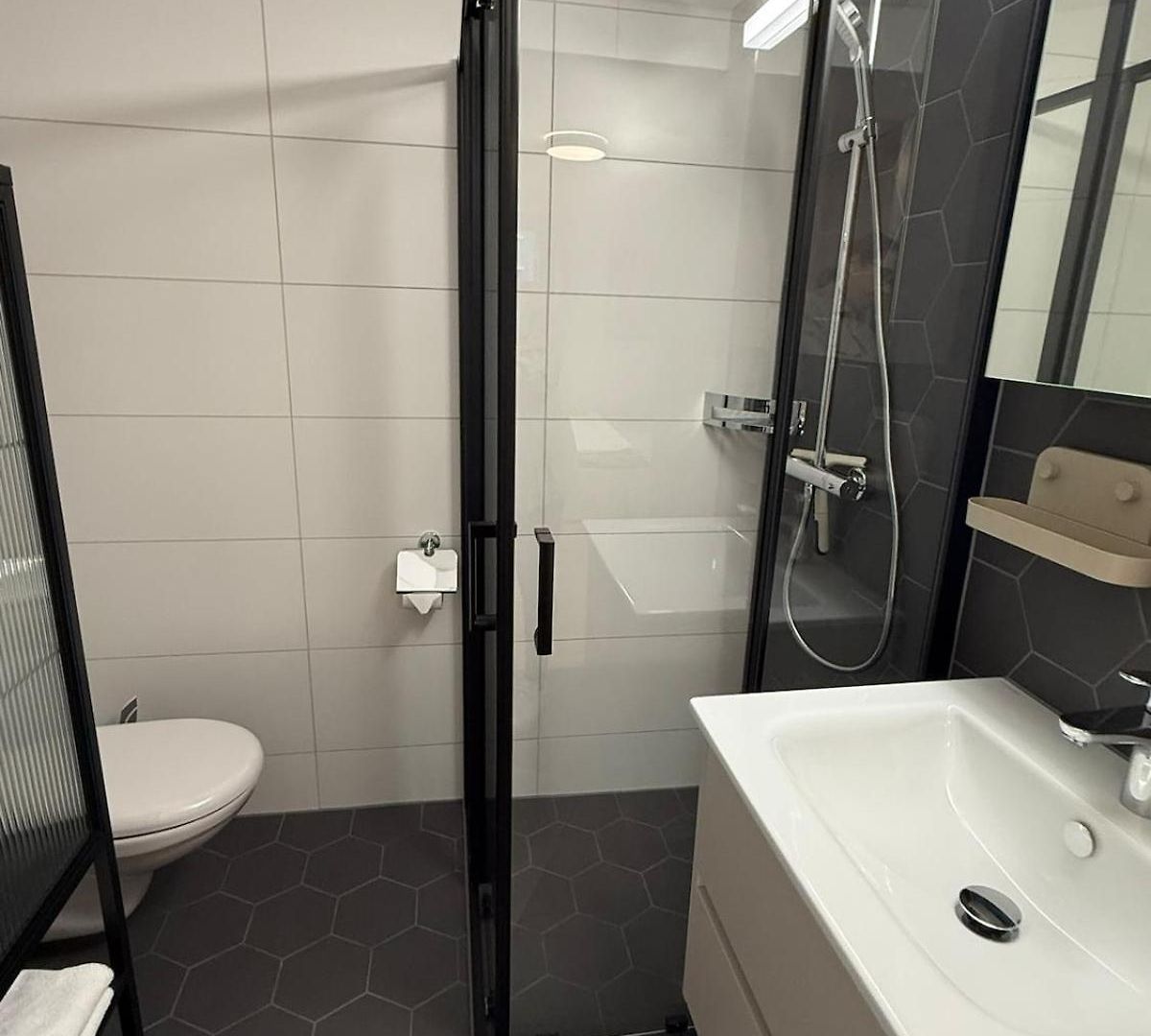 Apartment Smartroom In Zurich