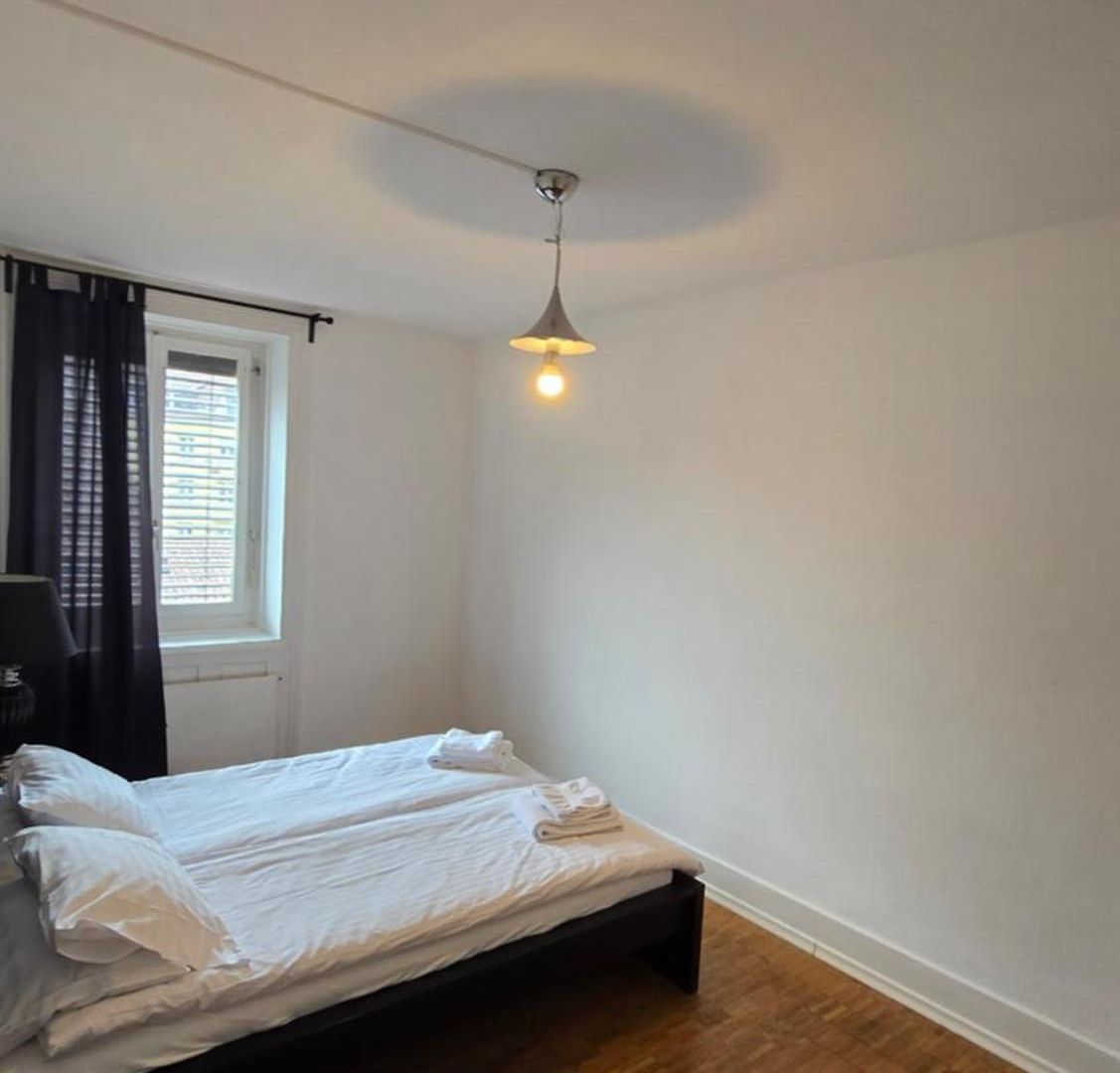 Cozy 2-bedroom In Vibrant Zurich
