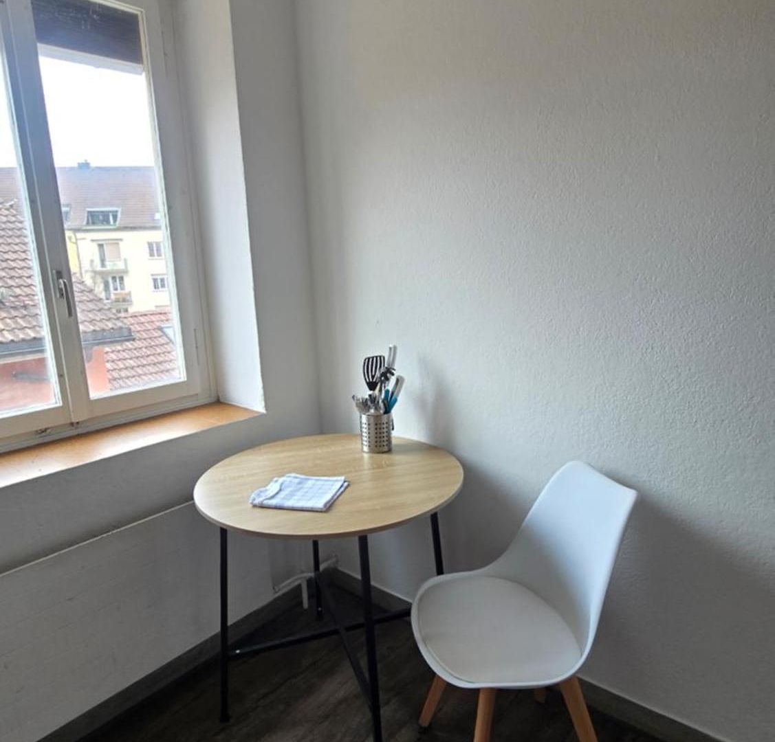 Apartment Cozy 2-bedroom In Vibrant Zurich