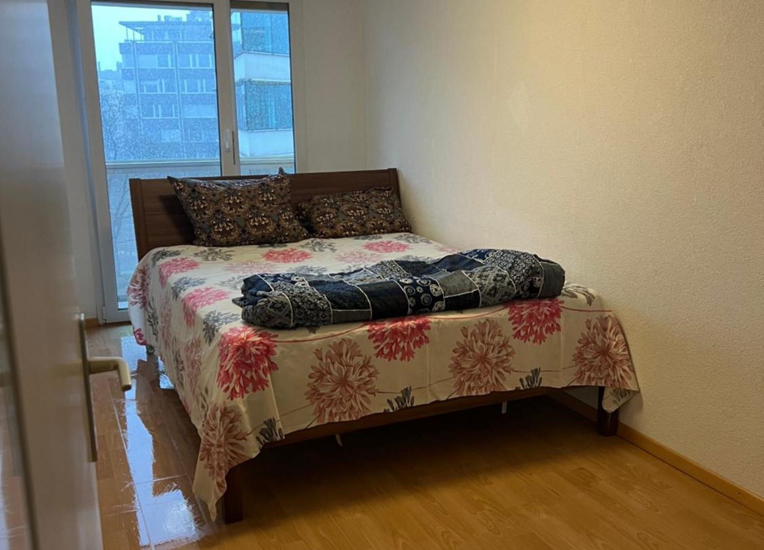Private In Centre Zurich