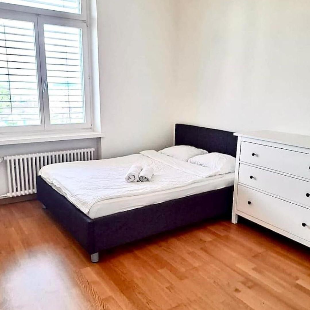 Superior Flat Close To Hb Uni Apartment Zurich