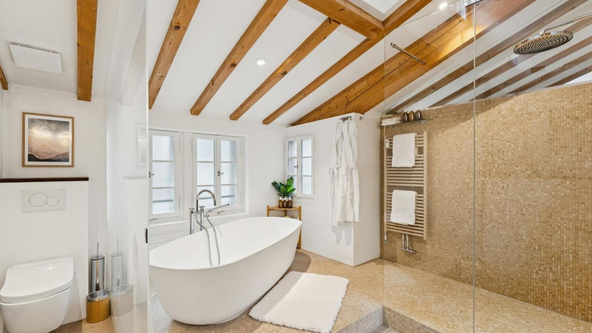 Old Town Diamond Penthouse Ac Private Rooftop Apartment Zurich