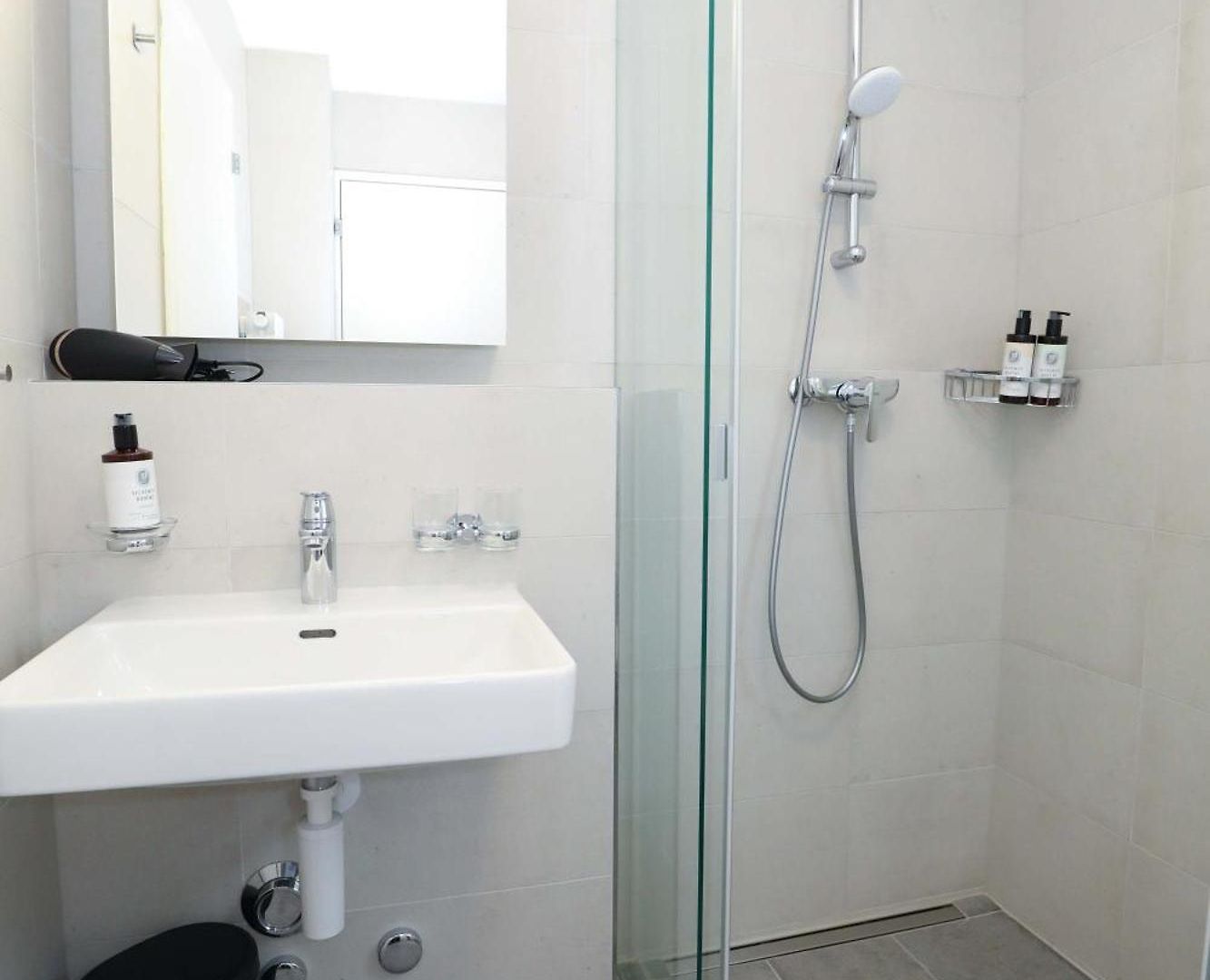 New Center With Private Entry & Parking Apartment Zurich