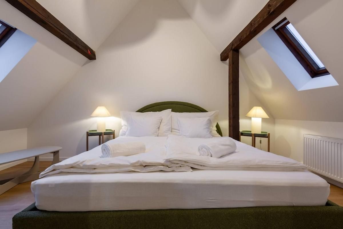 Nest 1 King Bed Near Hb Zürich