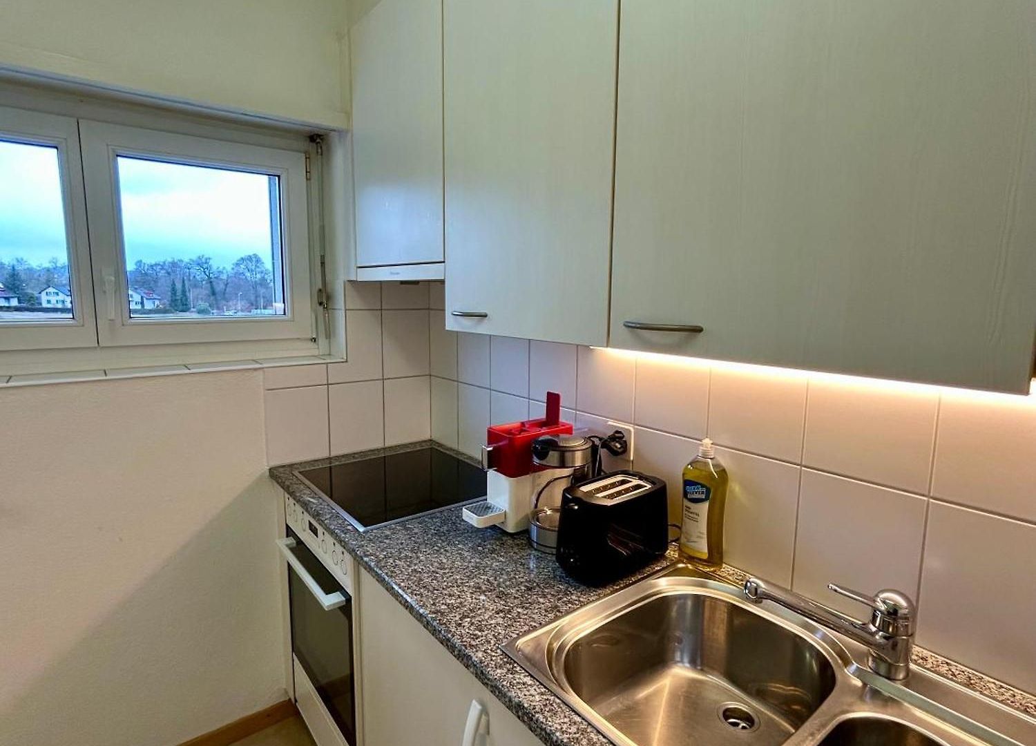 Apartment Cozy In Witikon District Zurich