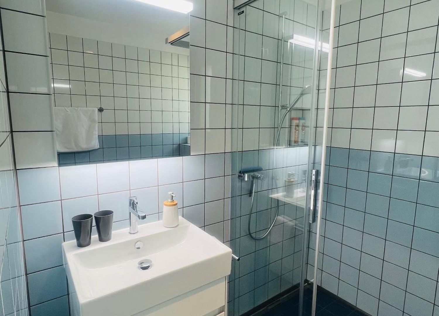 Modern Living, Luxe Apartment Zurich