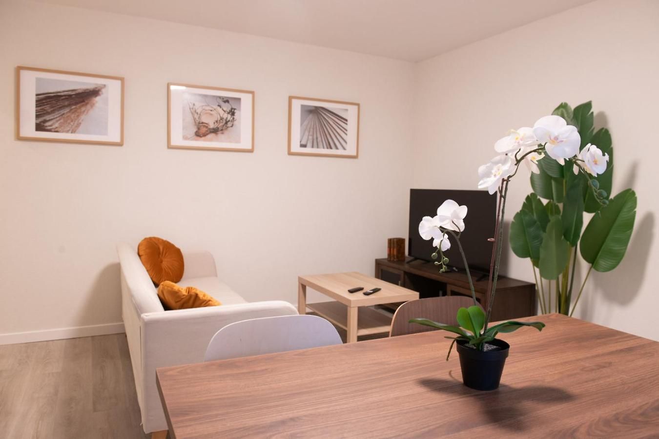 Apartment Golden Harmony In Oerlikon Zürich