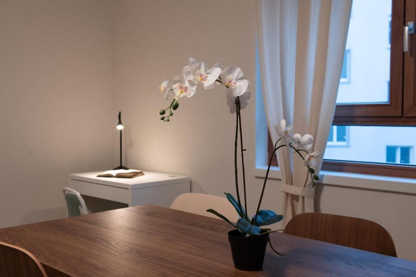 Apartment Golden Harmony In Oerlikon *