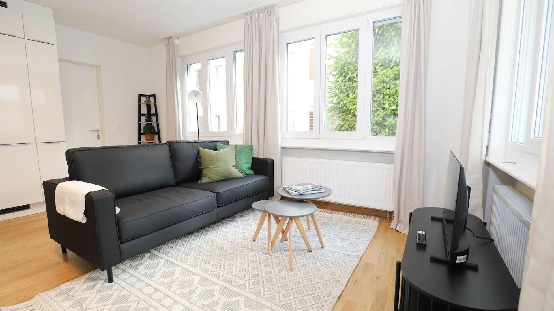 New Center With Private Entry & Parking Apartment Zurich