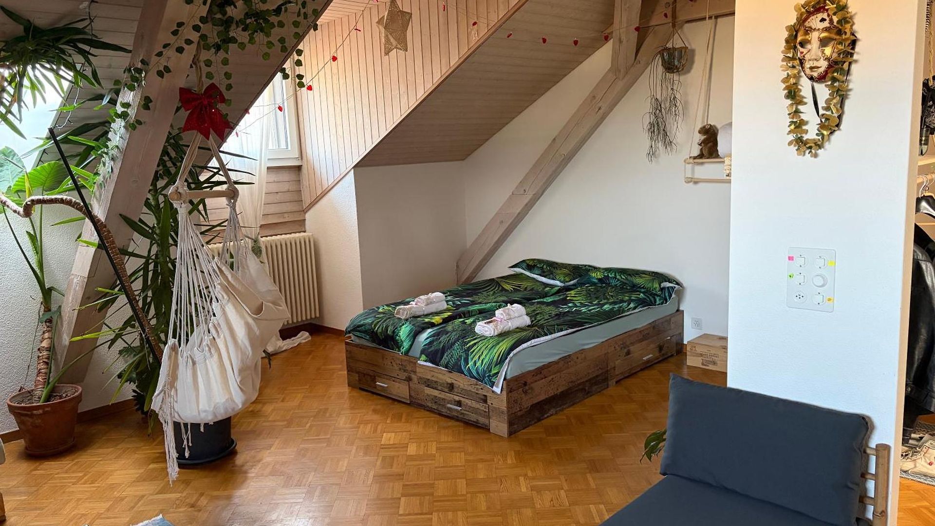 Apartment Urban Oasis - Attic In Iconic Langstrasse