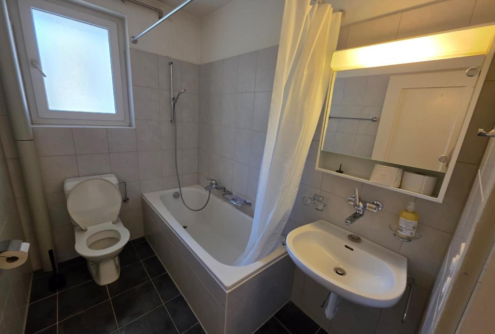 Large Flats, Center - Sch Apartment Zurich