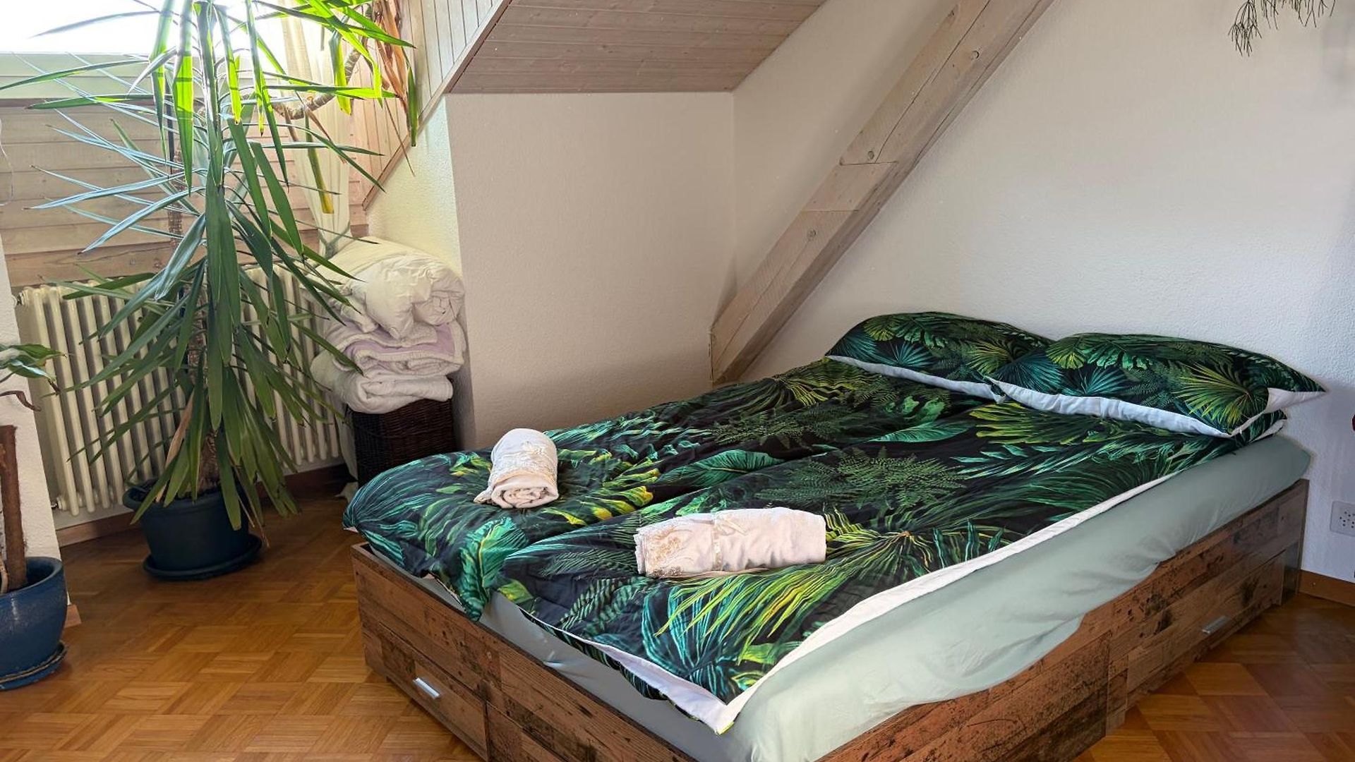 Urban Oasis - Attic In Iconic Langstrasse Apartment