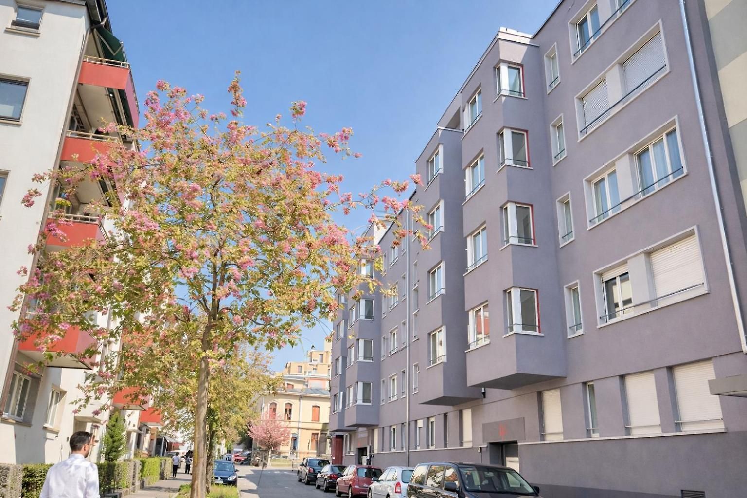 Apartment Modern 1br In The Center - Flower 41 Zurich