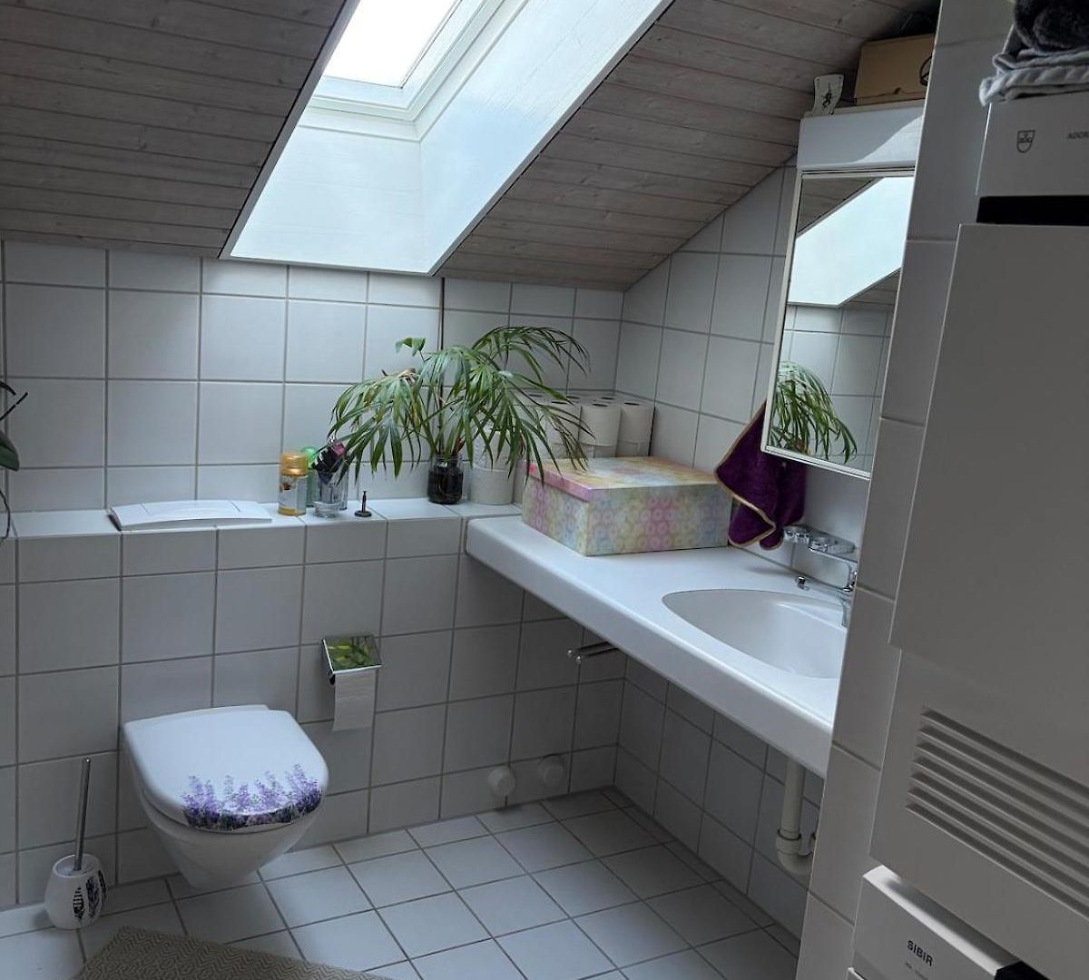 Apartment Urban Oasis - Attic In Iconic Langstrasse