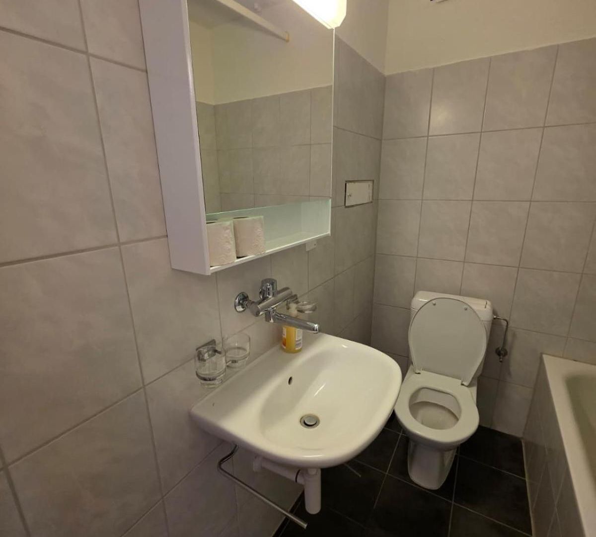 Large Flats, Center - Sch Apartment