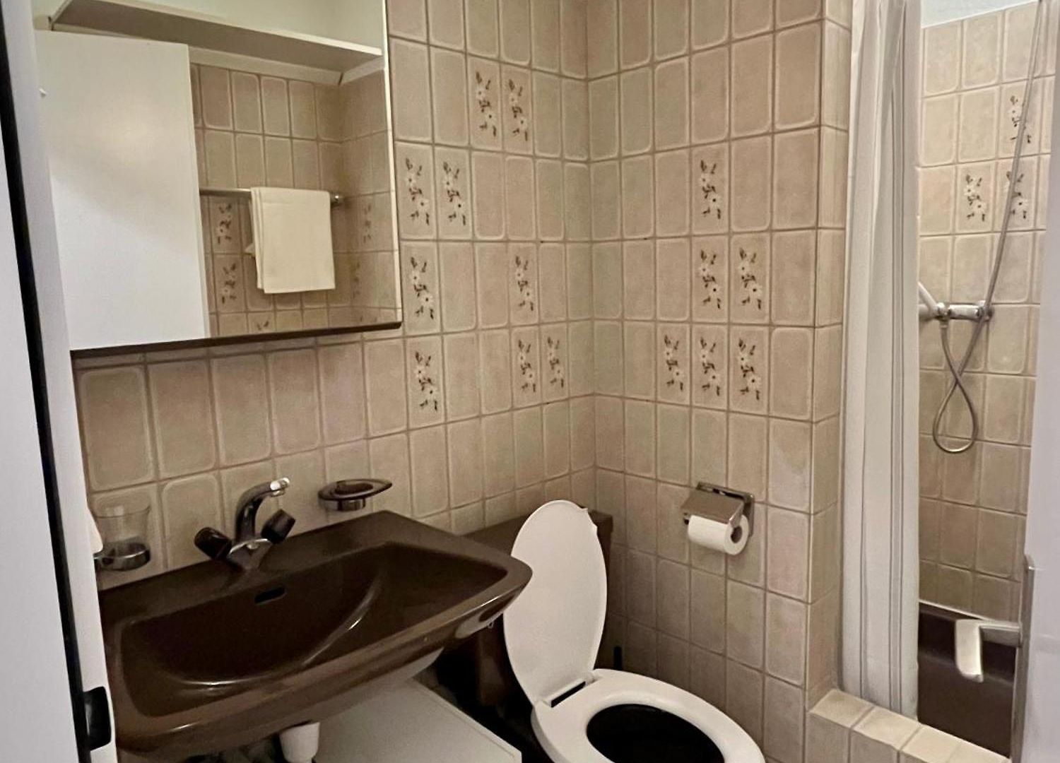 Apartment Charming In Niederdoerfli Zurich