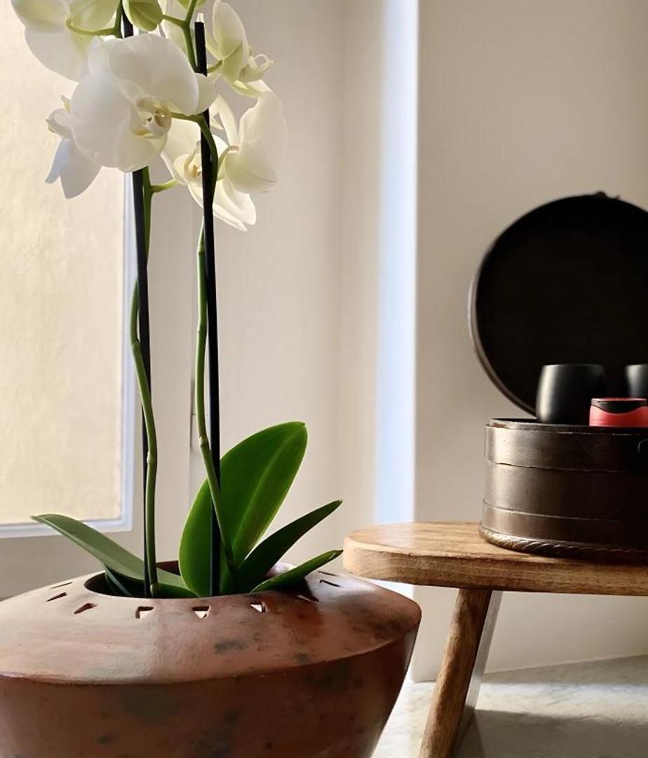 Apartment Goethe House In Old Town Zurich