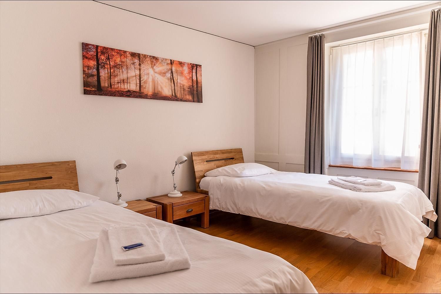 Awesome 2br Flat Near And Center - Sf16 Apartment Zurich