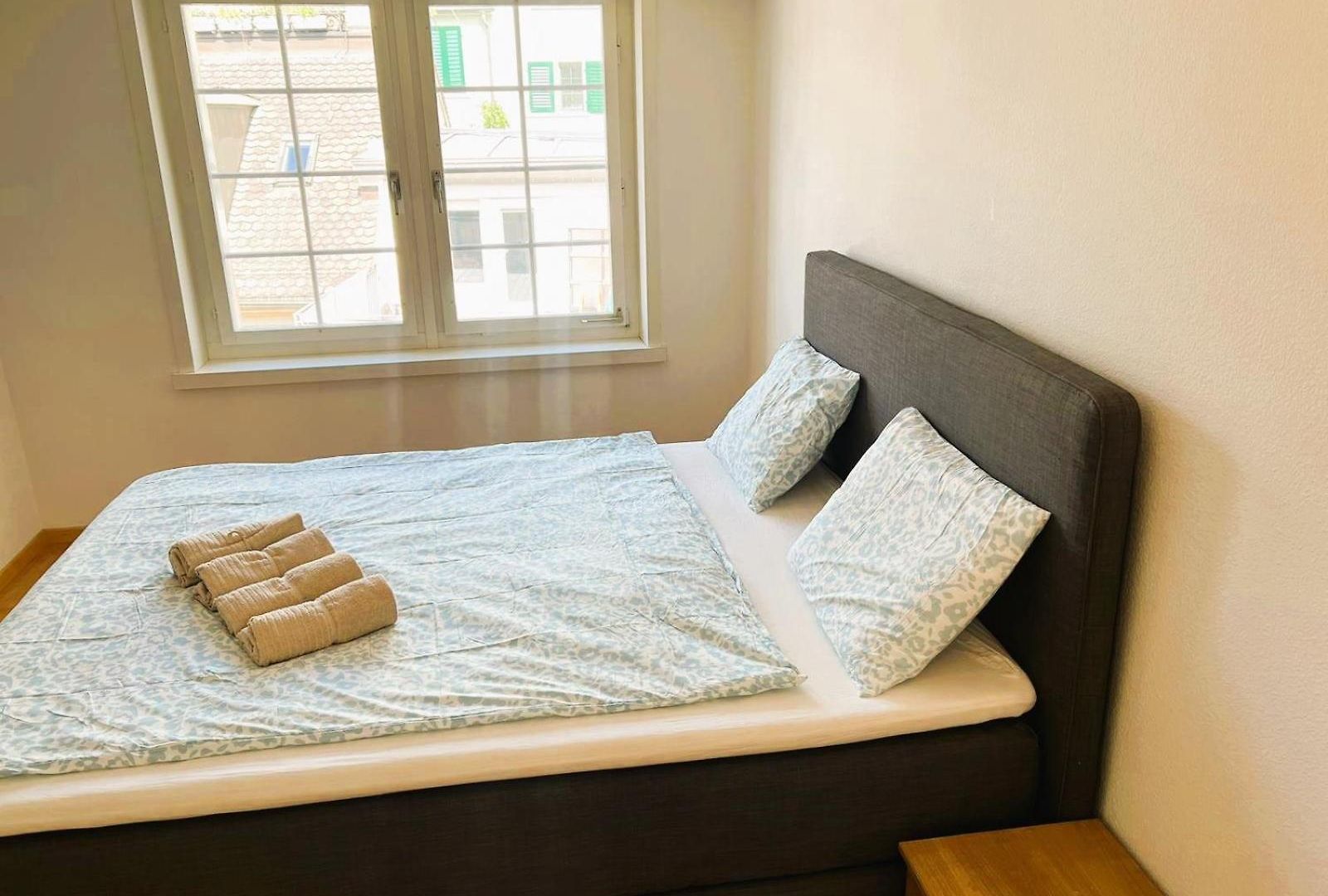 2 Flat In Old Town Center Renn