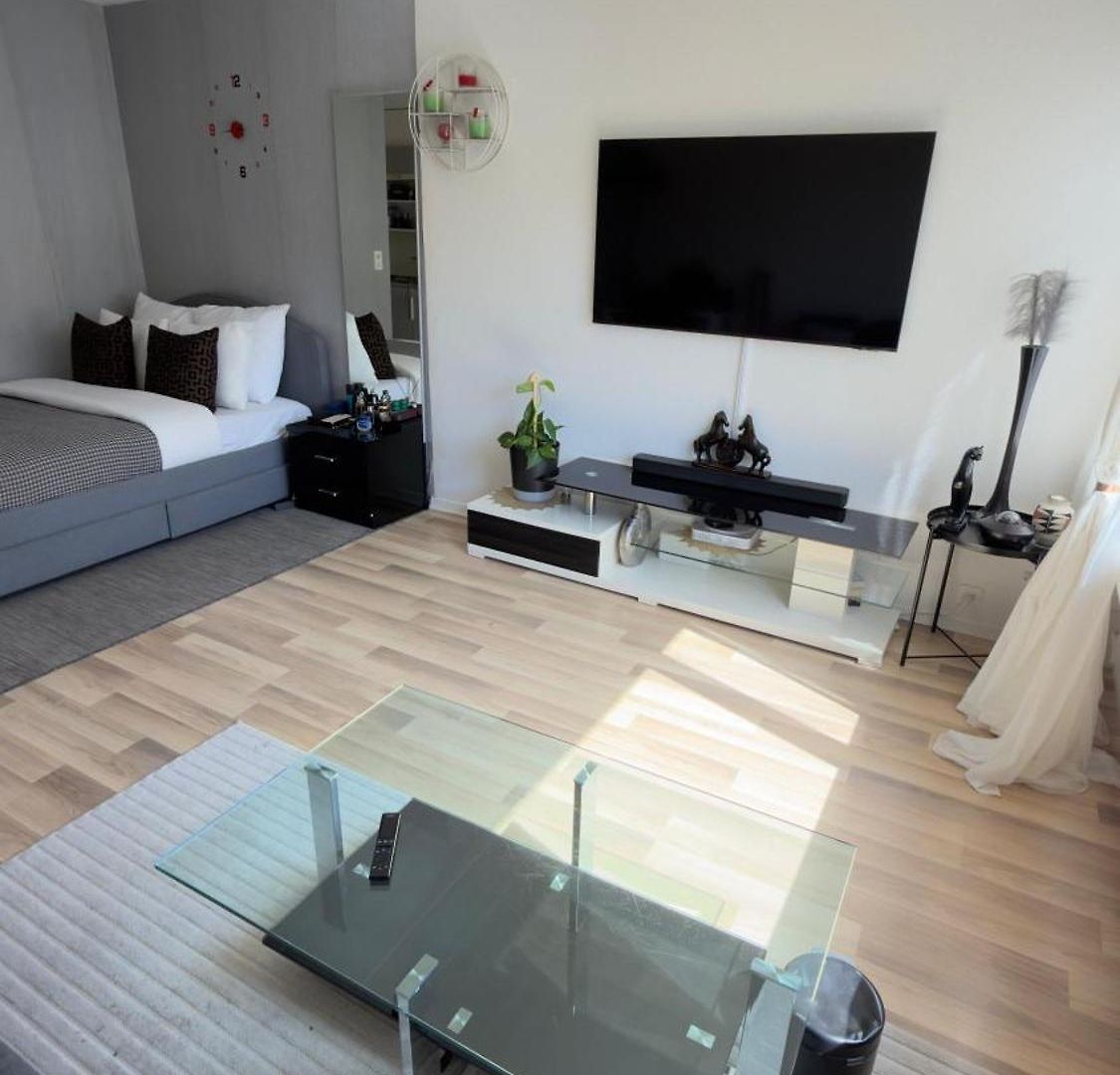Apartment Bright In Heart Of Zurich