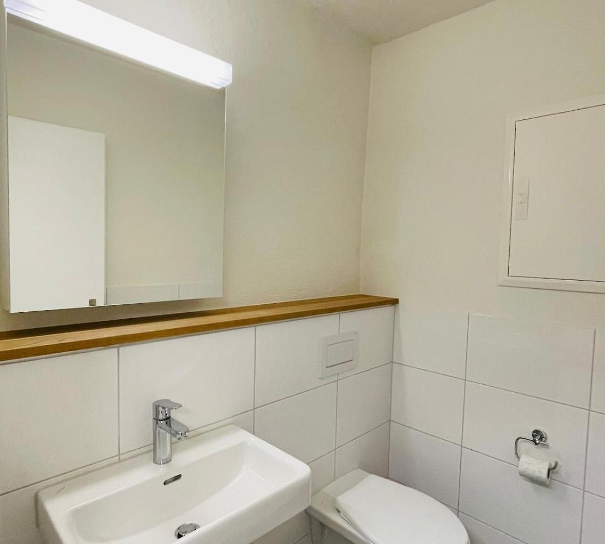 Loft In The Liveable Neighborhood Apartment Zurich