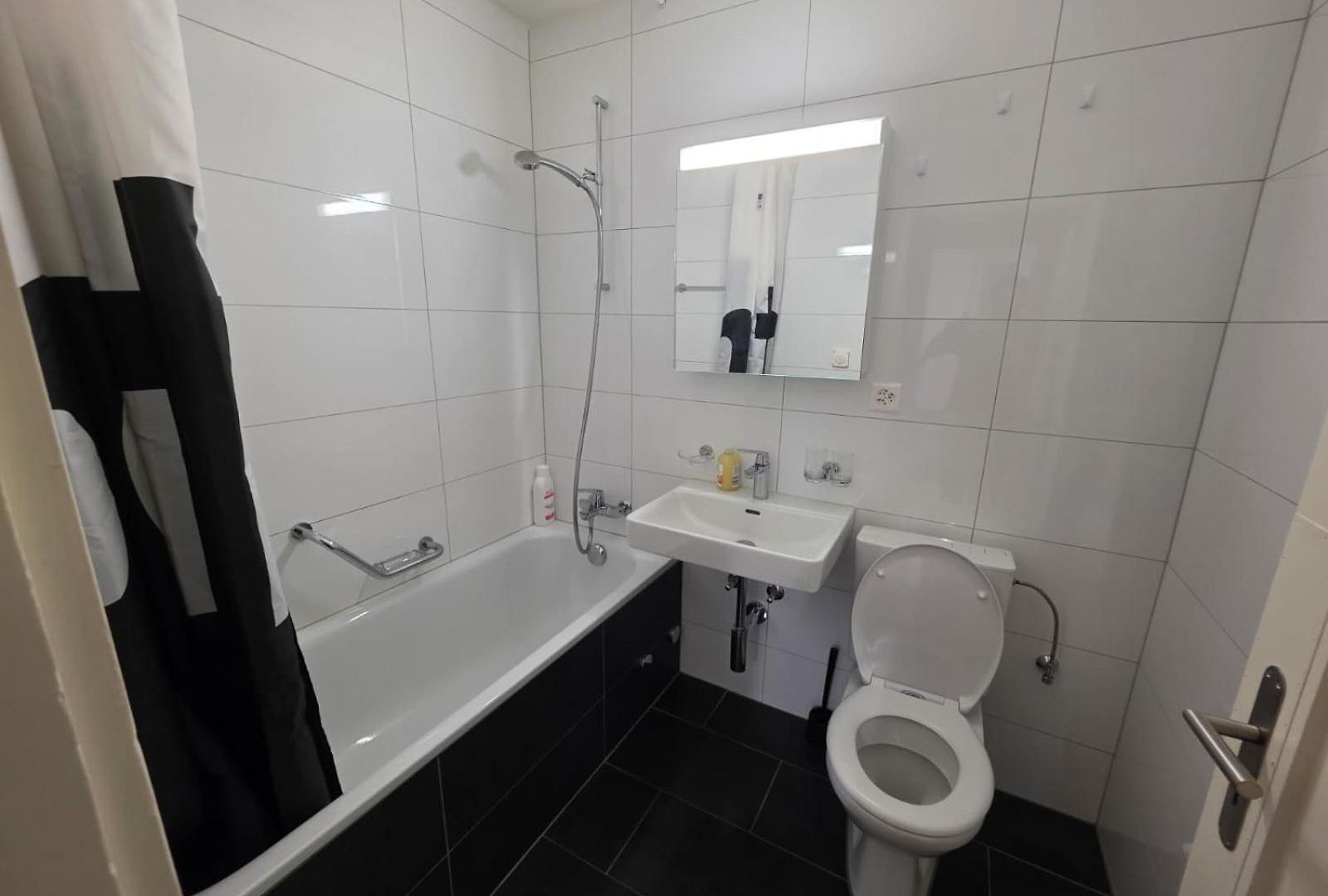 Large Flats, Center - Schc Apartment Zurich