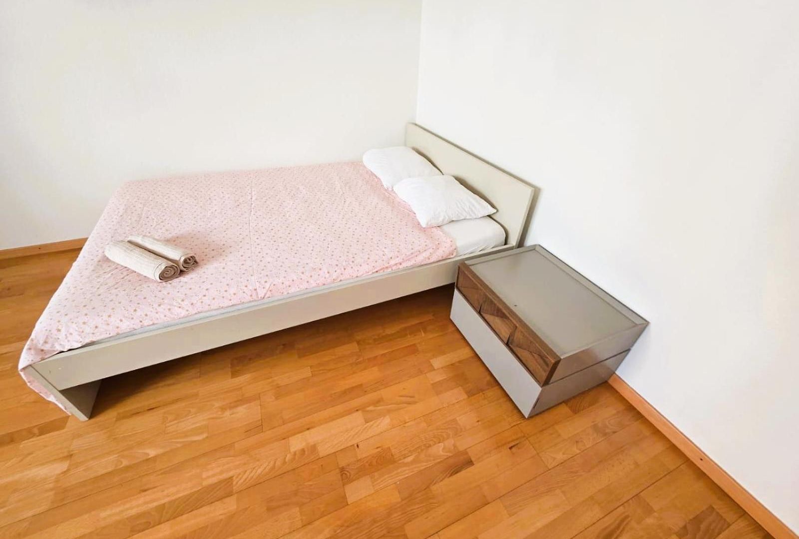 Large Flats, Center - Schc Apartment