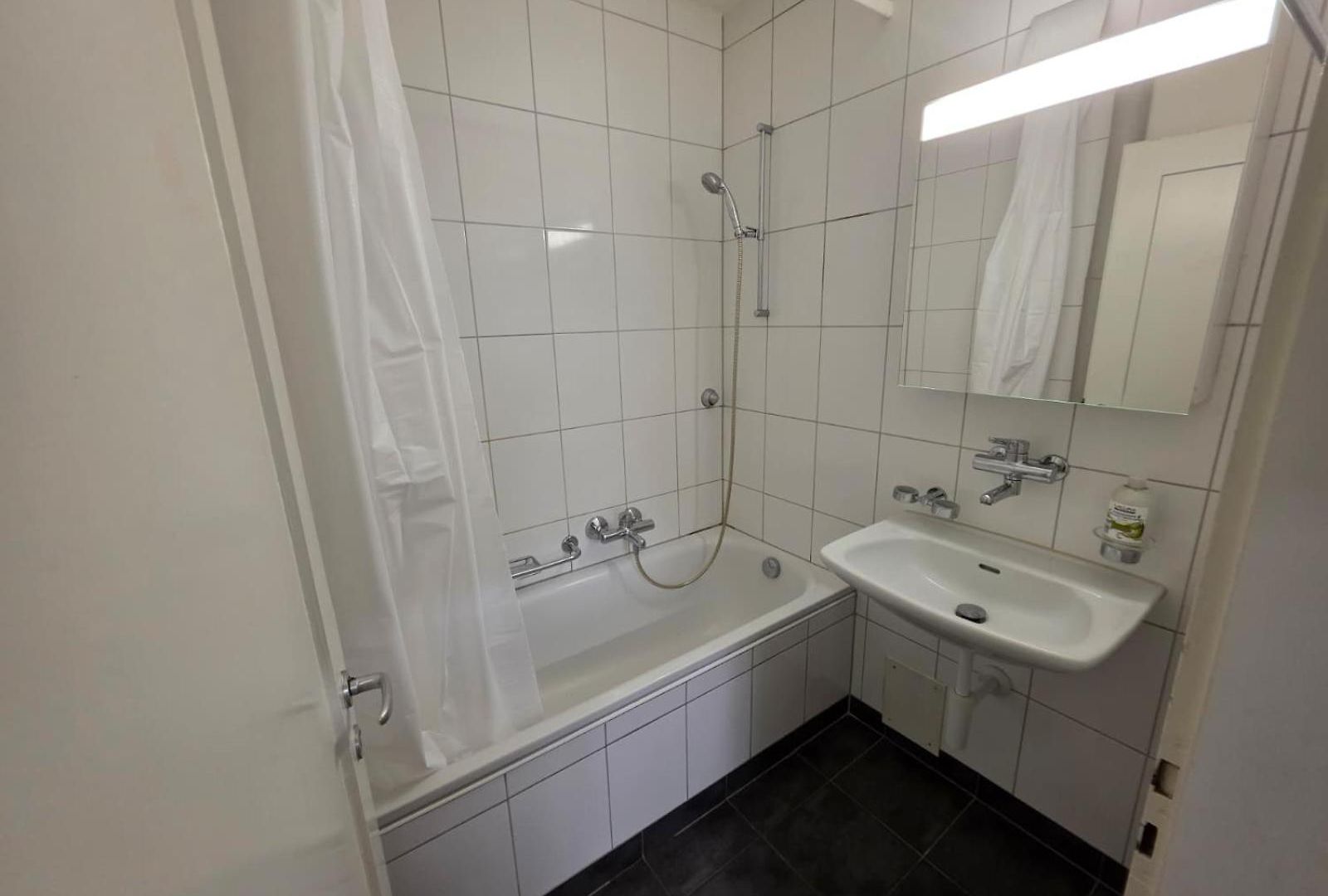 Large Flats, Center - Schb Zurich