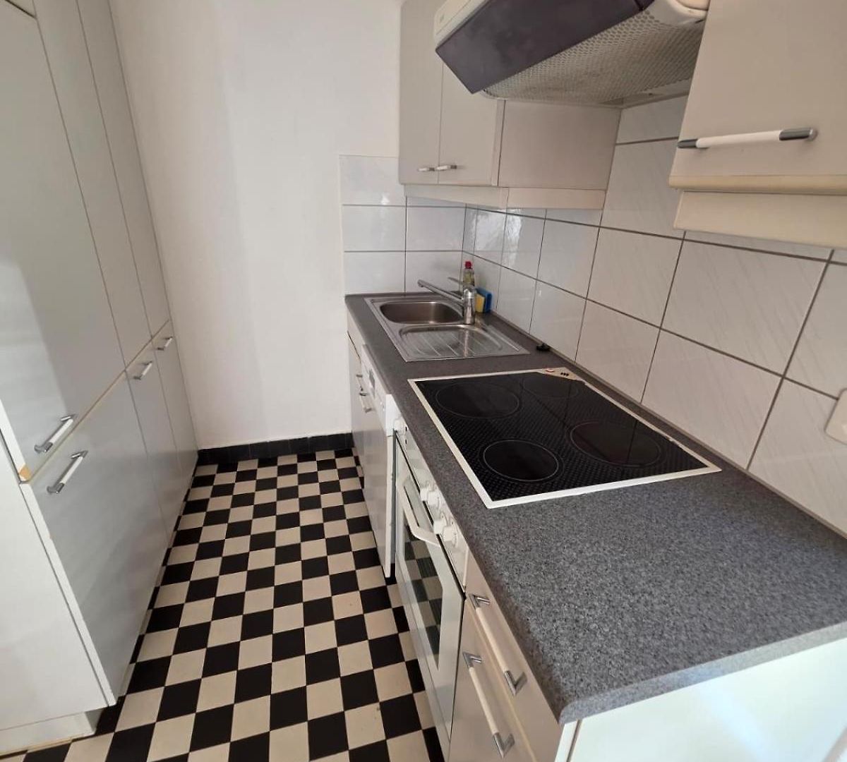 Apartment Large Flats, Center - Schc *