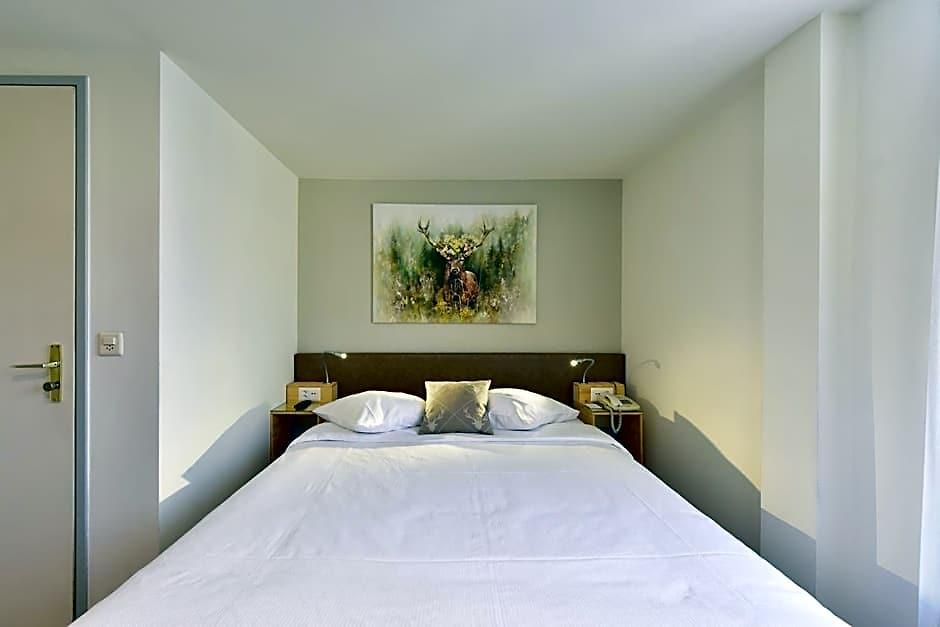 Hirschen Hotel 3*