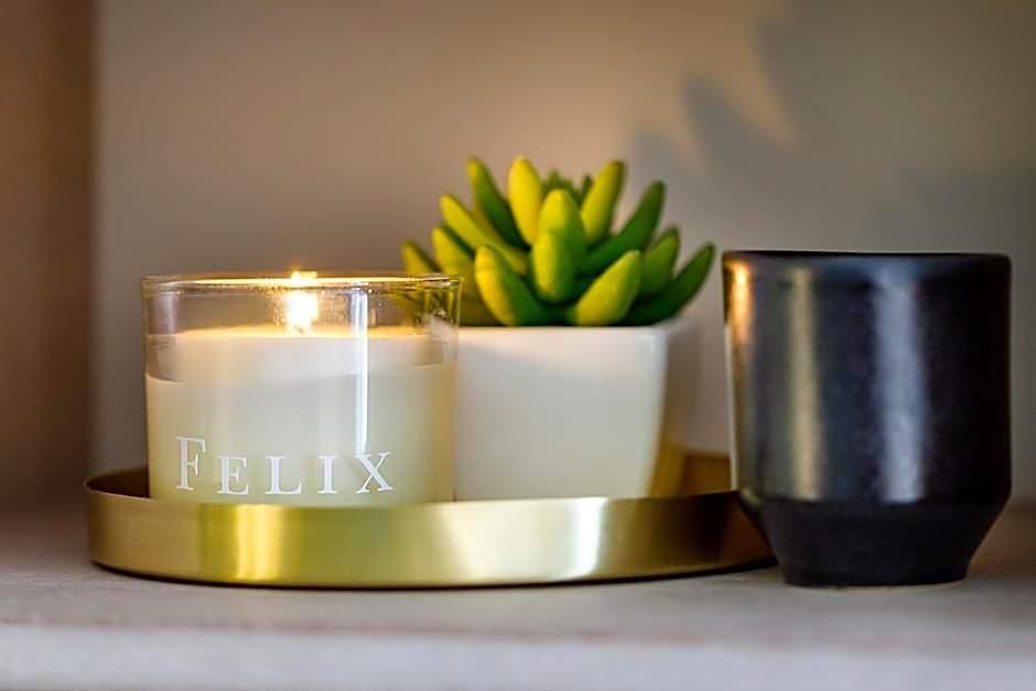 Felix Hotel 3*