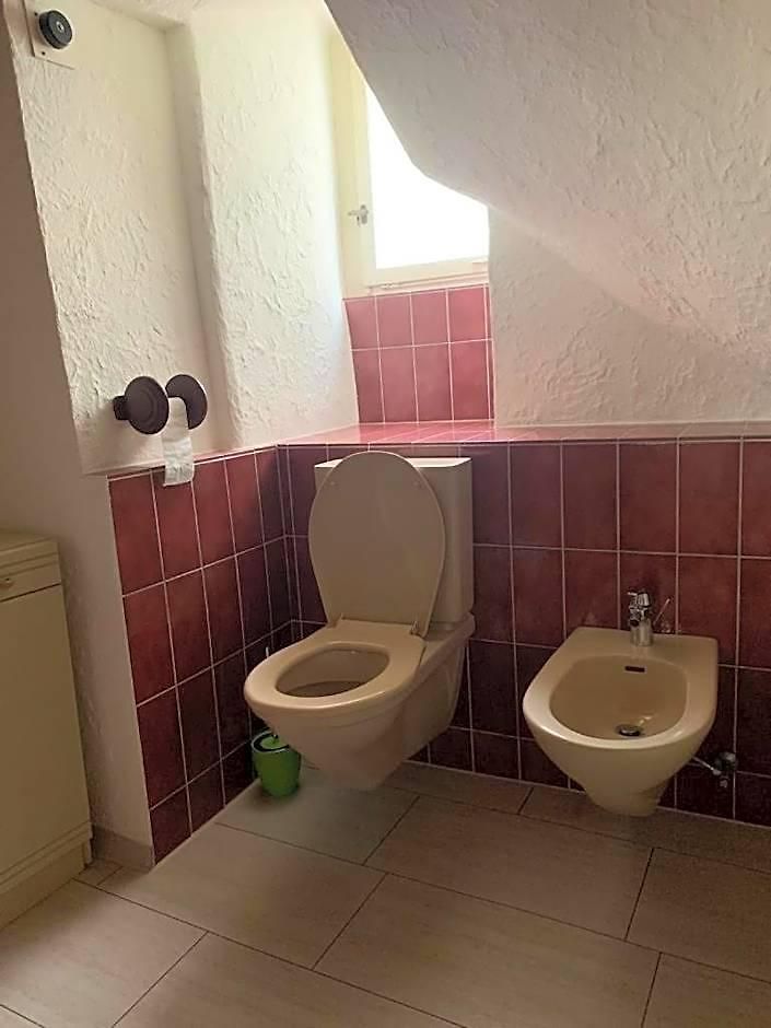 Hostel Friendly *