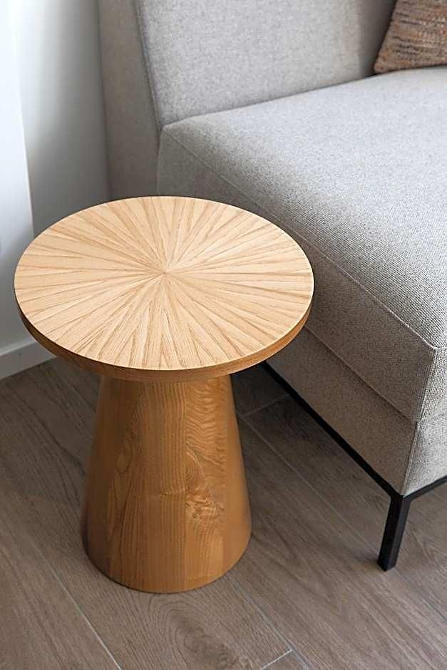Ema House Serviced Superior Unterstrass Apartment Zürich