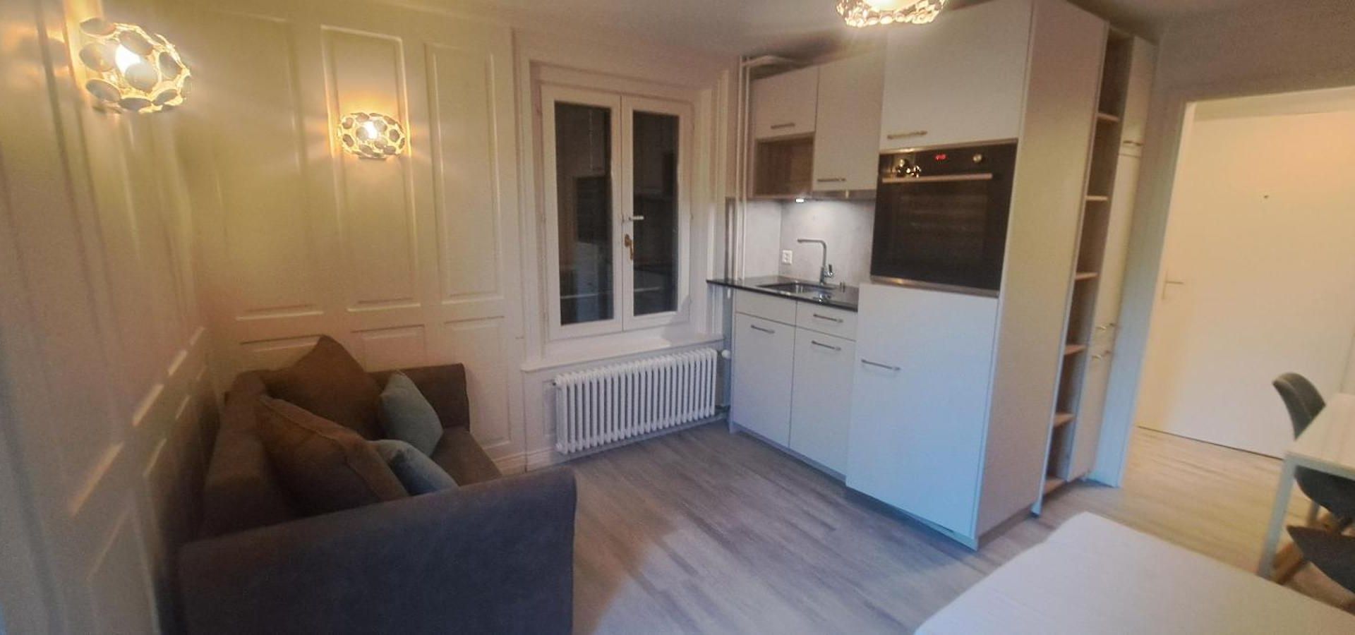Apartment Trendig Moeblierte Wohnung, Mit Eigener Terrasse! Lage! Zurich
