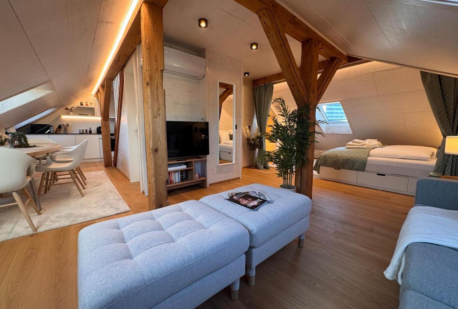 Waterfront Penthouse Ac Rooftop Free Parking Zurich