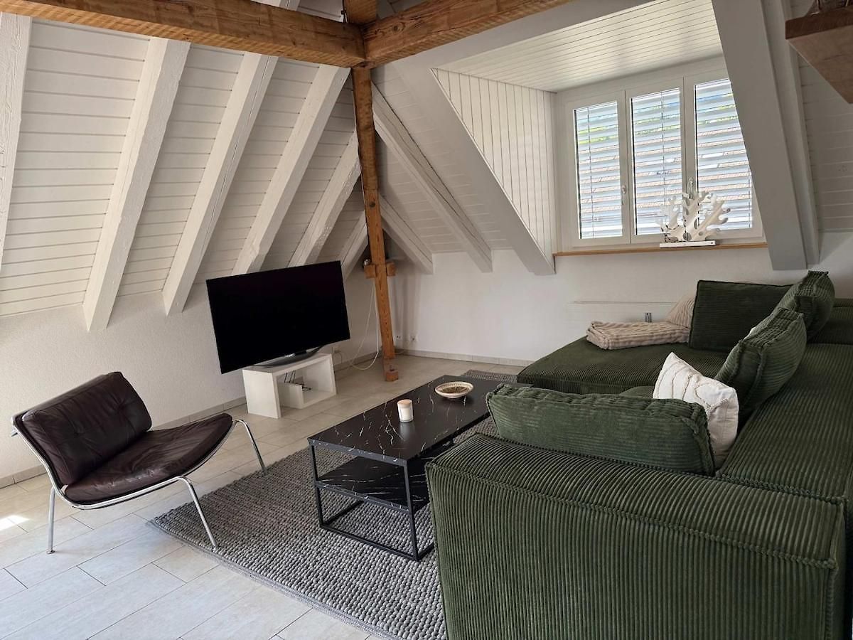 Apartment Attic With Parking And View Zurich