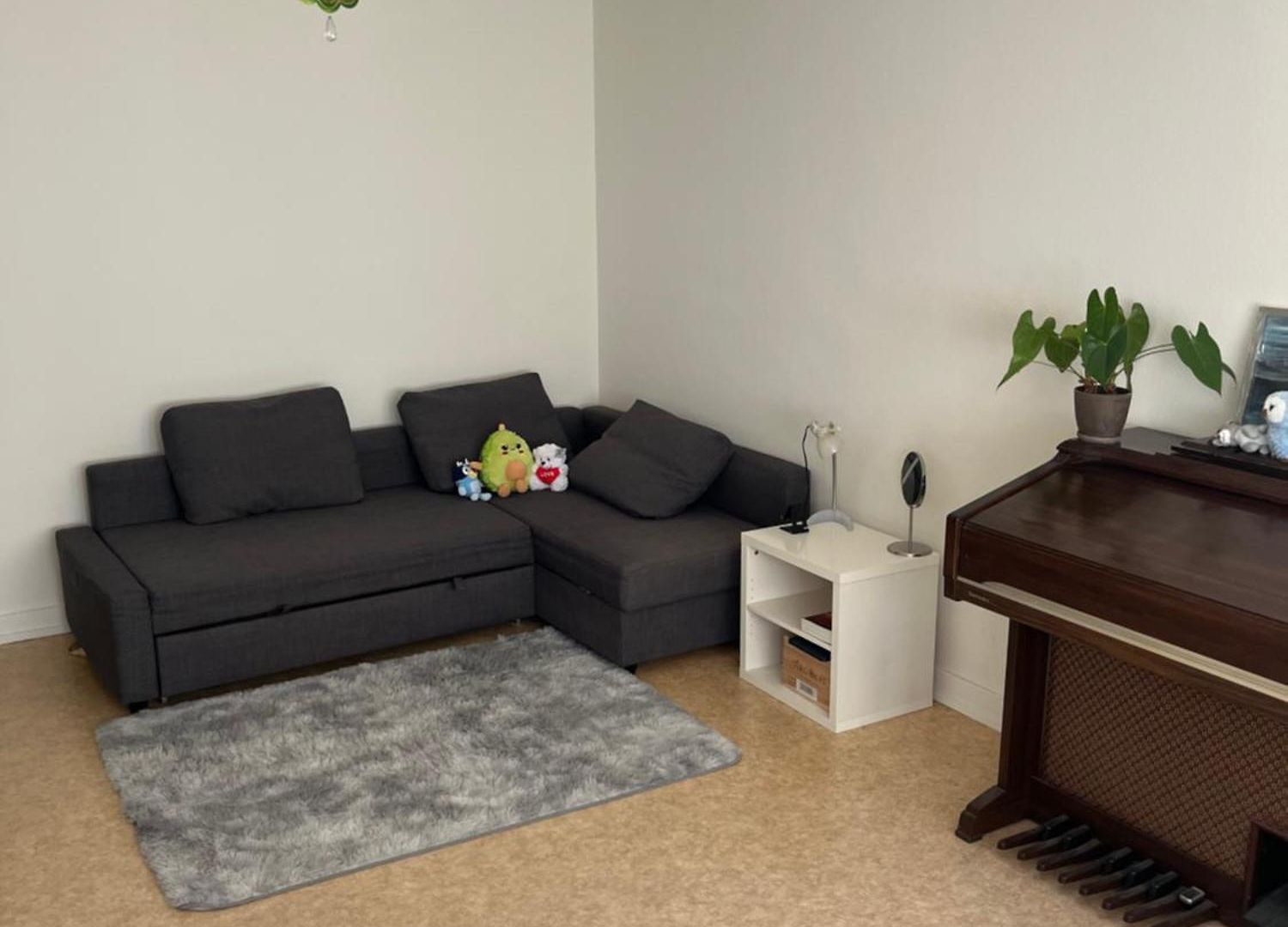 Cozy In The Heart Of The Botanic Garden Apartment