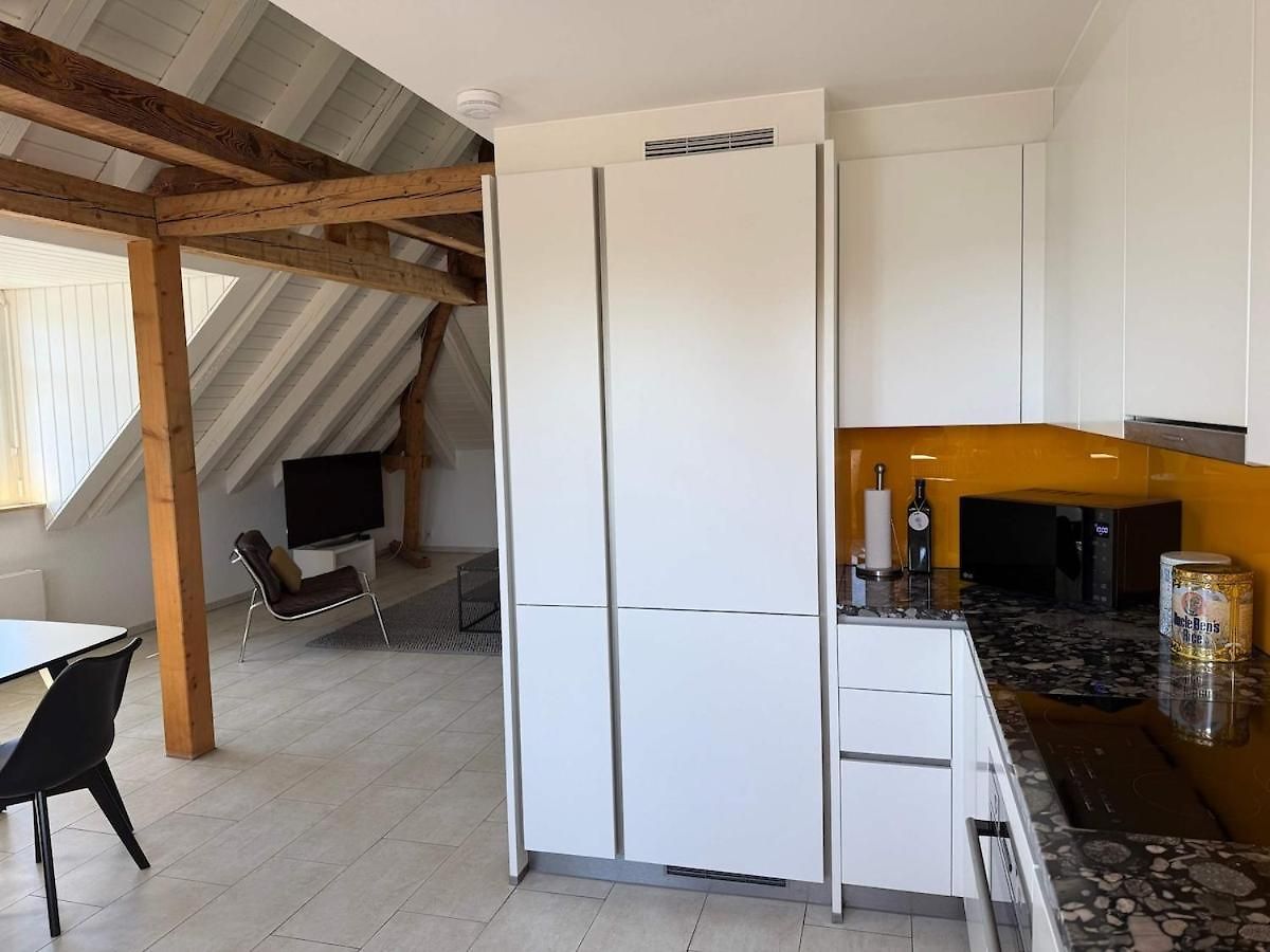 Attic With Parking And View Zurich