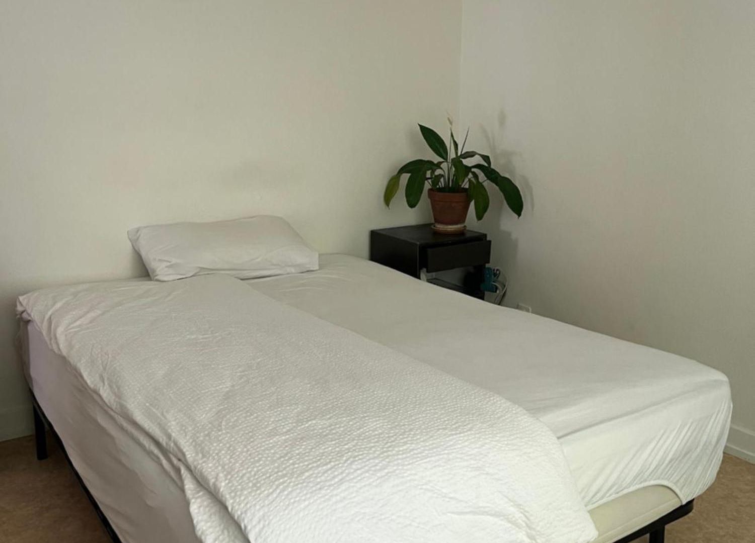 Apartment Cozy In The Heart Of The Botanic Garden *