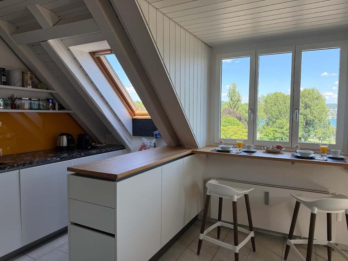Apartment Attic With Parking And View Zurich